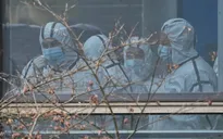 WHO: SARS-CoV-2 "rất khó" có khả năng lọt ra từ phòng thí nghiệm