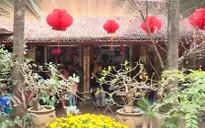Lưu giữ ký ức Tết xưa