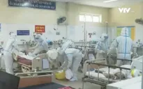 Kỳ diệu những cuộc "hồi sinh" sau dịch bệnh, bão lũ