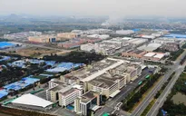 Năm 2020, có gần 1.000 doanh nghiệp bất động sản giải thể