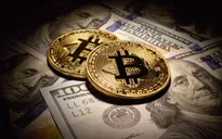 Bitcoin mất giá thảm
