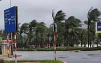 Từ tháng 6/2021, bắt đầu xuất hiện bão và áp thấp nhiệt đới