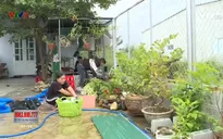Hơn 100 hộ dân đã có nước sạch