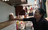 Giúp việc theo giờ làm không hết việc, kiếm tiền triệu mỗi ngày dịp Tết