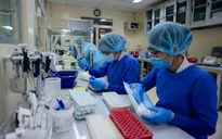 Sáng 20/2, không có ca mắc COVID-19
