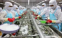 Mỹ bỏ áp thuế chống bán phá giá với "vua tôm" Minh Phú
