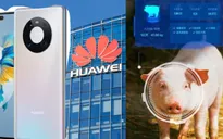 Smartphone bết bát, Huawei chuyển hướng… nuôi lợn bằng AI
