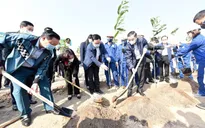 Hưởng ứng Tết trồng cây và chương trình 1 tỷ cây xanh