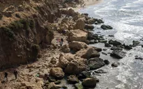 Israel đóng cửa toàn bộ bãi biển Địa Trung Hải do sự cố tràn hắc ín