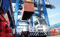 Tháng đầu năm, xuất khẩu Việt Nam tăng 55% so cùng kỳ