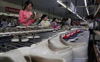 AMRO: Kinh tế Việt Nam sẽ tăng trưởng 7% trong năm 2021