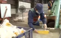 TP. HCM di dời nhà máy xử lý chất thải nguy hại