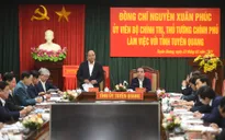 Đưa Tuyên Quang thành căn cứ về gỗ rừng trồng