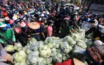 Siêu thị "giải cứu" nông sản vùng dịch