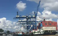 Việt Nam vào top đầu Chỉ số Logistics thị trường mới nổi