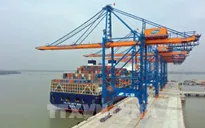 Tàu Ocean Amazing không được nhập cảnh vào Việt Nam