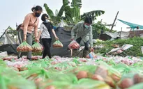 Giải cứu nông sản vùng dịch: Triệu trái tim hướng về Hải Dương