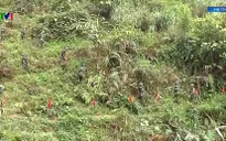 Hà Giang rà phá bom mìn để trả lại màu xanh cho đất