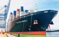 Hàng hoá thông qua cảng biển Việt Nam đạt kỷ lục