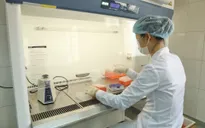 Phú Thọ ghi nhận một ca mắc COVID-19 liên quan đến BV Nhiệt đới Trung ương