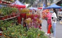 Để đón Tết an toàn trong mùa dịch, Bộ Y tế khuyến cáo những gì?