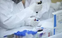 138 mẫu bệnh phẩm trên địa bàn tỉnh Bình Định đều cho kết quả âm tính với SARS-CoV-2