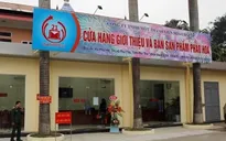 Người dân có thể mua pháo hoa không tiếng nổ đón Tết ở đâu?