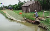 Đi tìm tương lai của Đồng bằng sông Cửu Long