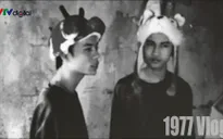 Cùng 1977 Vlog đón Trâu đến nhà