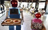 Robot - tương lai của ngành phục vụ