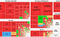 "Bão tố" cuối năm, dân chơi chứng khoán lo mất Tết