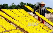 Làng nghề An Nhơn rộn ràng vào xuân