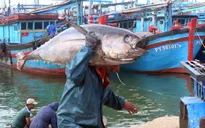 Ăn Tết trên biển - Nét văn hóa của ngư dân Nam Trung bộ