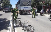 Tai nạn giữa xe khách với xe đạp làm 3 người chết, 4 người bị thương tại Đồng Tháp