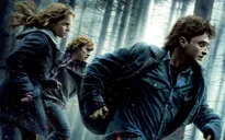 Harry Potter chính thức tái ngộ khán giả Việt trên màn ảnh rộng sau 10 năm