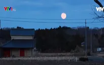 2/3 dân số ở Fukushima không có kế hoạch quay về sau thảm họa