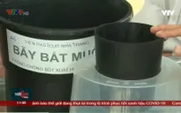 Hệ thống dự báo sớm - công cụ phòng chống sốt xuất huyết