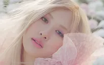 Phụ trách mỹ thuật phim Quang Uyên xin lỗi Rosé (BLACKPINK)