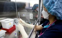 Hàn Quốc sử dụng vaccine AstraZeneca cho người trên 65 tuổi