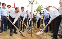 Hưởng ứng chương trình trồng 1 tỷ cây xanh