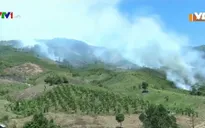 Phòng chống cháy rừng nhờ gắn kết chủ rừng và người dân
