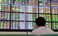 Cổ phiếu ngân hàng bùng nổ, VN-Index "thăng hoa"