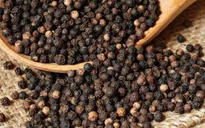 Giá hồ tiêu "nhảy múa"