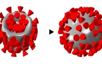 Sóng siêu âm có thể tiêu diệt virus SARS-CoV-2?