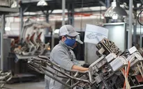 Niềm tin kinh doanh giảm vì COVID-19