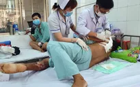 Người đàn ông bị bò húc gây đa chấn thương phức tạp