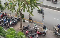 Khẩn trương điều tra nguyên nhân vụ 2 cô gái trẻ tử vong do rơi từ tầng cao xuống