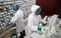 Nhân viên xét nghiệm Trung Quốc mắc COVID-19 sau khi tiêm vaccine