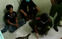 Gần 100 cảnh sát phá tụ điểm giao dịch ma tuý, tín dụng đen có nhiều vũ khí "nóng"