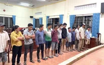 Triệt phá một tụ điểm đá gà ăn tiền lớn, bắt hàng chục đối tượng